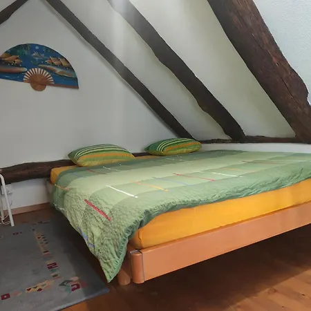 Garni Rosa Delle Alpi Hotel 2*