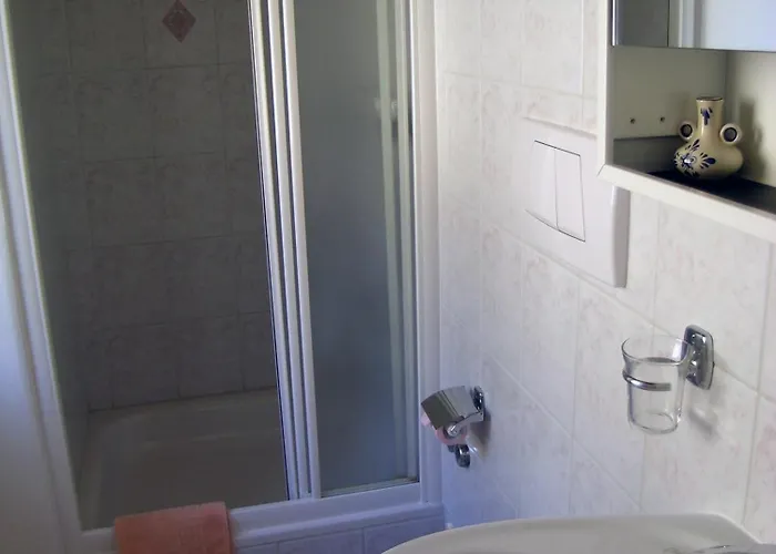 Garni Rosa Delle Alpi Hotell Gordola