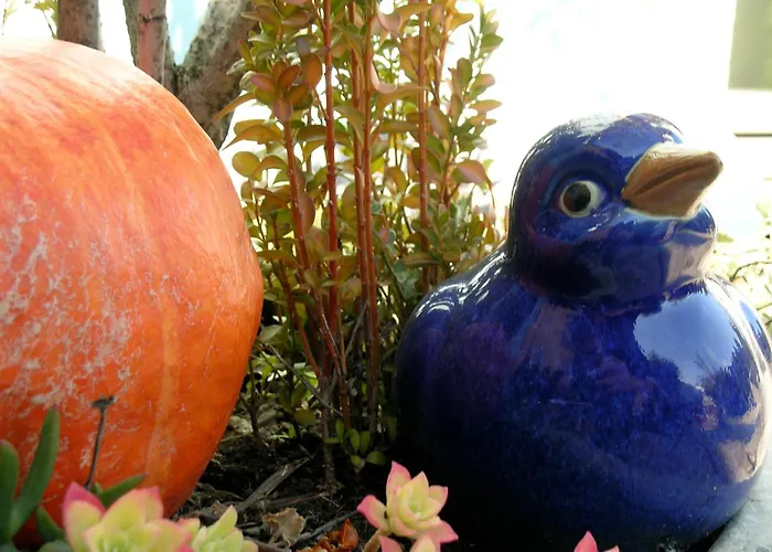 加尼罗莎阿尔皮酒店 戈尔多拉